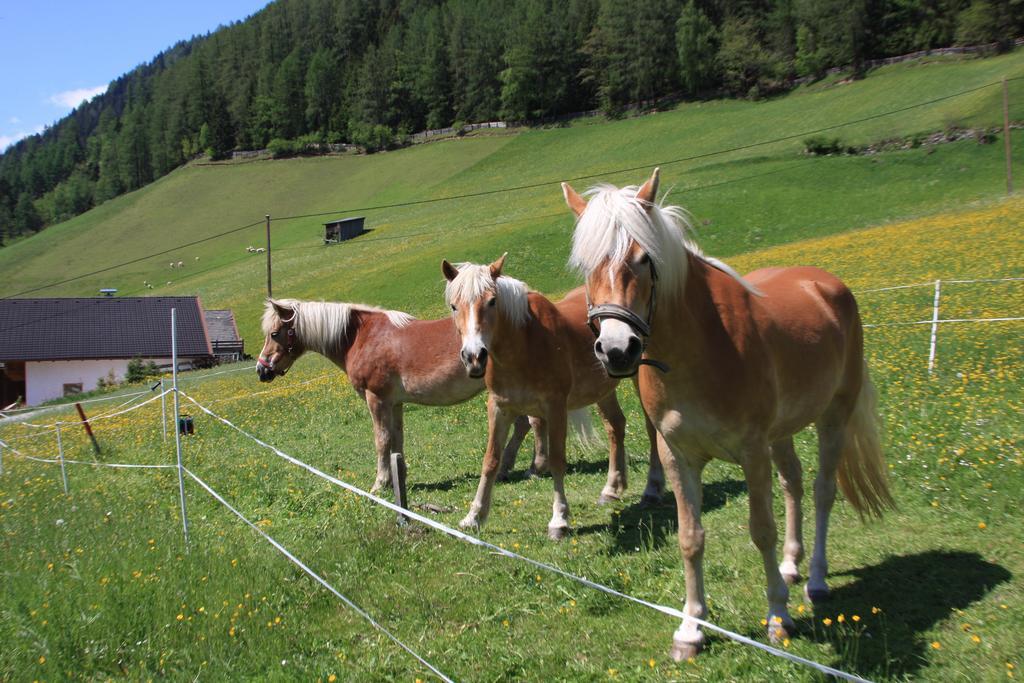 Villa Omesbergerhof Neustift im Stubaital Esterno foto